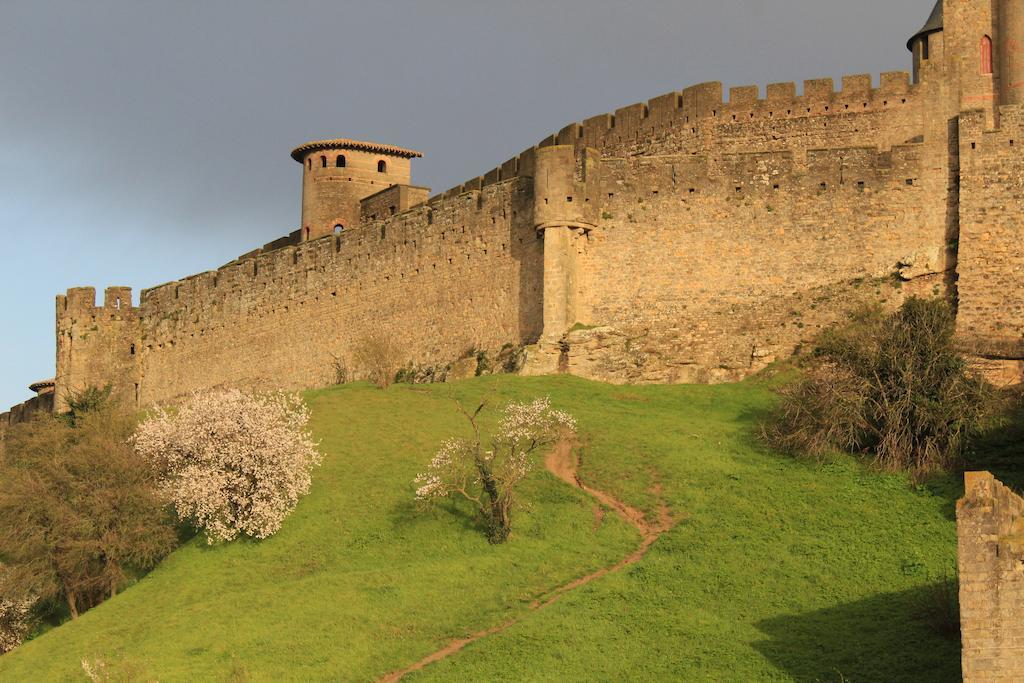 Le Patio Cathare Lägenhet Carcassonne Exteriör bild